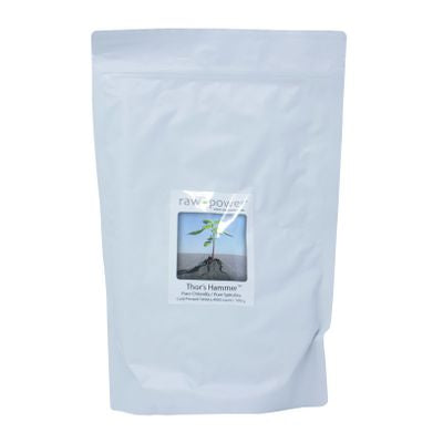 Raw Power Chlorella Tablets, 250mg