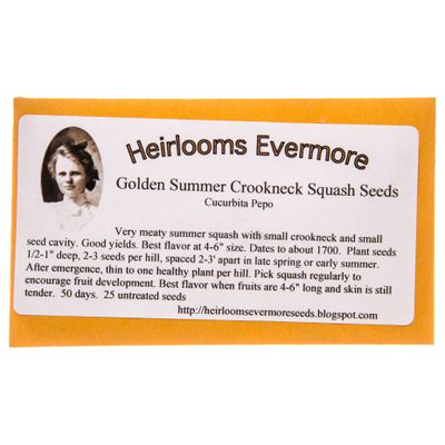 Heirlooms Evermore Golden Summer Crookneck Squash Seeds