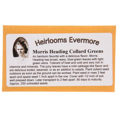 Heirlooms Evermore Morris Heading Collard Greens