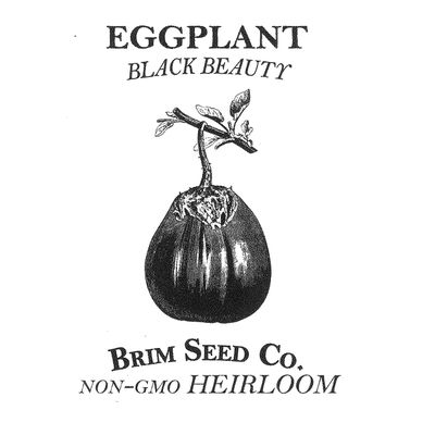 Brim Seed Co. Eggplant, Black Beauty, Heirloom Seed