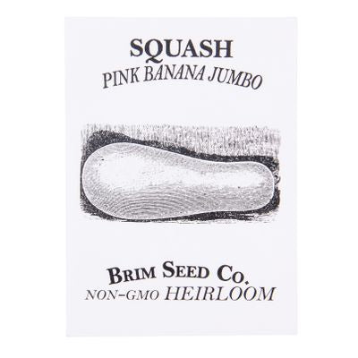 Brim Seed Co. Squash, Pink Banana Jumbo Heirloom Seed