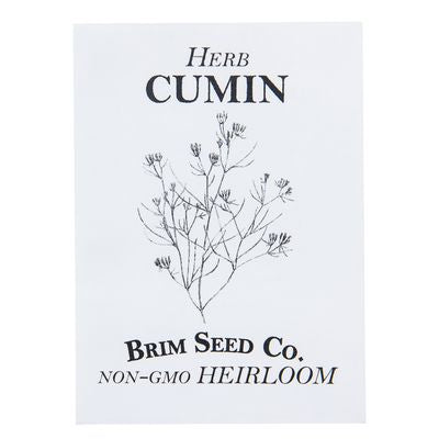 Brim Seed Co. Herb, Cumin Heirloom Seed