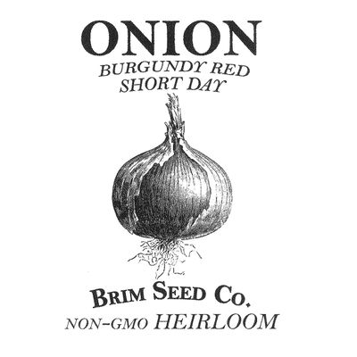 Brim Seed Co. Onion, Burgundy, Heirloom Seed