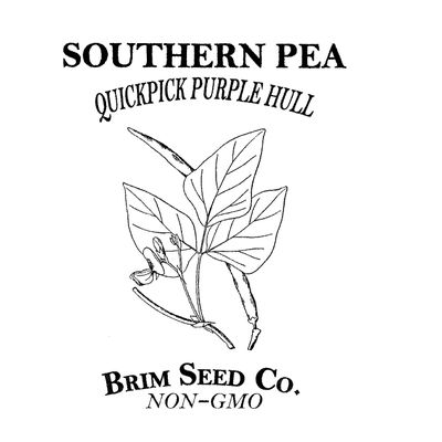 Brim Seed Co. Southern Pea, Quickpick Purple Hull