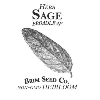 Brim Seed Co. Herb,Sage, Heirloom Seed