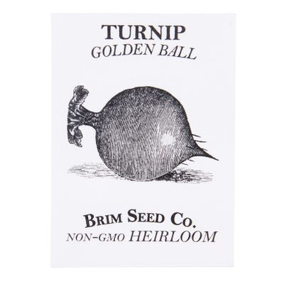 Brim Seed Co. Turnip, Golden Ball Heirloom Seed