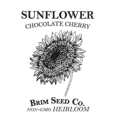 Brim Seed Co. Flower, Sunflower, Chocolate Cherry, Heirloom Seed