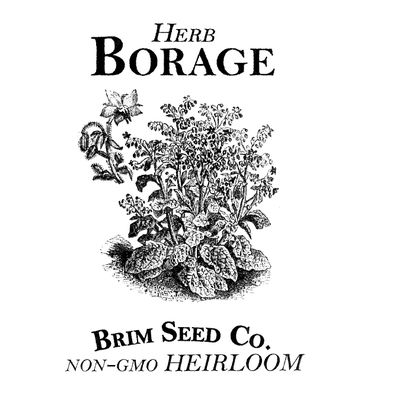 Brim Seed Co. Herb, Borage, Heirloom Seed