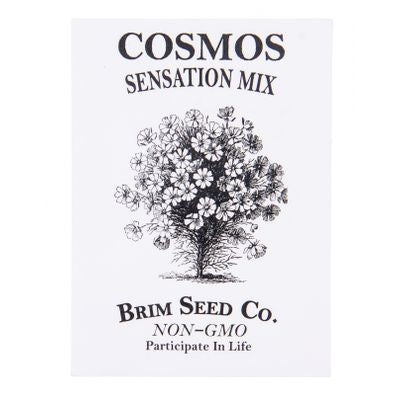 Brim Seed Co. Flower, Cosmos Sensation Mix Seed