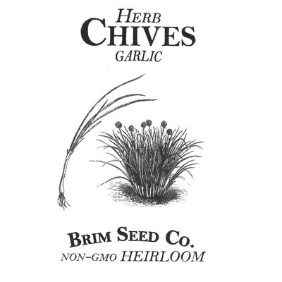 Brim Seed Co. Herb, Chives, Garlic, Heirloom Seed