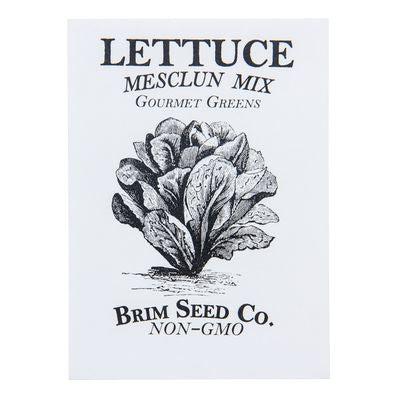 Brim Seed Co. Lettuce, Gourmet Greens Mesclun Mix Seed