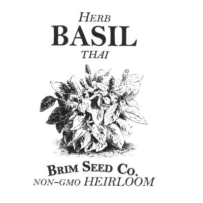 Brim Seed Co. Herb, Basil, Thai, Heirloom Seed