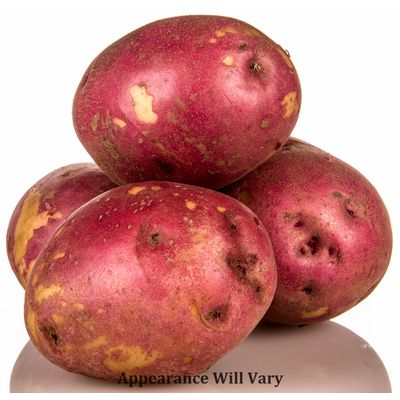 Azure Market Produce Potatoes, Red, Organic