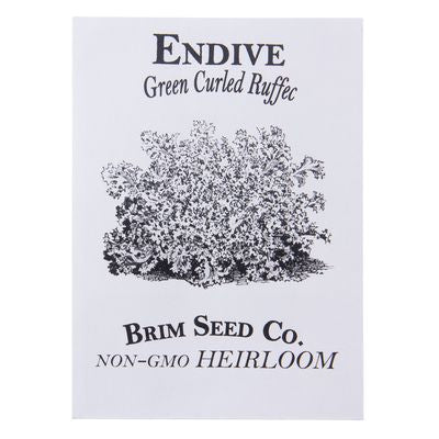 Brim Seed Co. Endive, Green Curled Ruffec Heirloom Seed