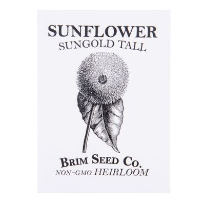 Brim Seed Co. Flower, Sunflower  Sungold Tall Heirloom Seed