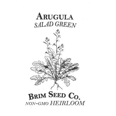 Brim Seed Co. Salad Green, Arugula, Heirloom Seed