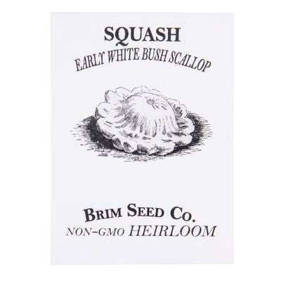 Brim Seed Co. Squash, Early White Bush Scallop Heirloom Seed