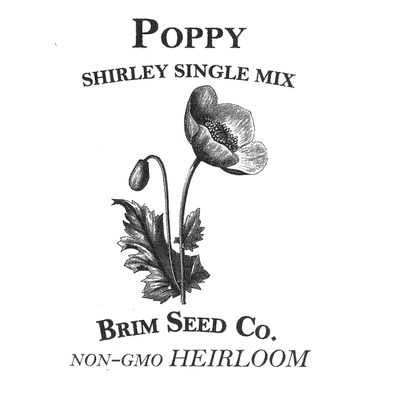 Brim Seed Co. Flower, Poppy, Shirley Single Mix, Heirloom Seed